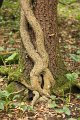 natura 0013
